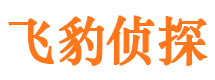 金溪市调查公司